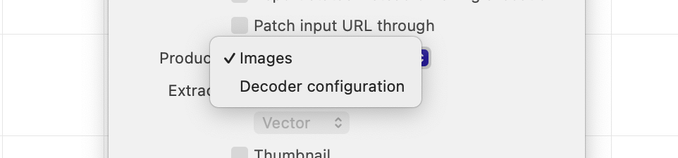 Extracting the initial decoder configuration