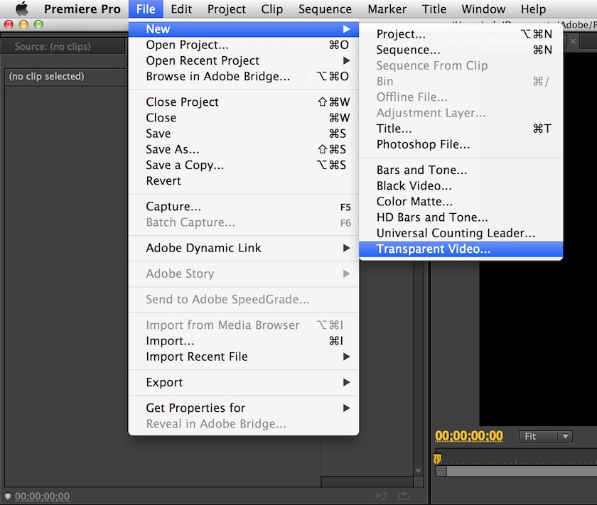 animated lower thirds premiere pro